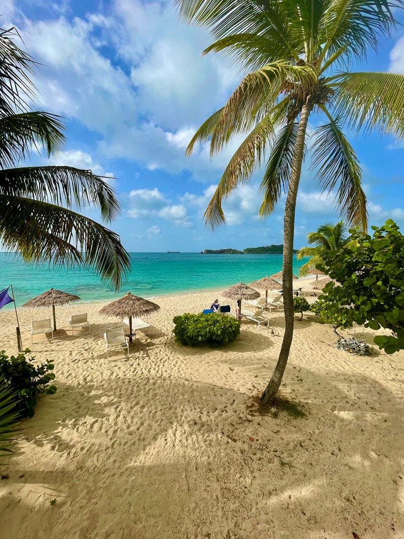 Palm trees and turquoise water on a sandy beach in Antigua
